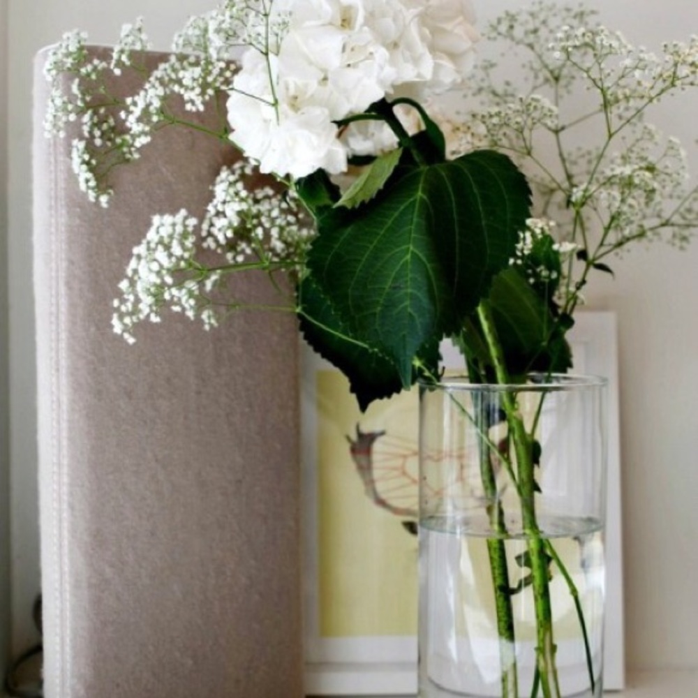 Meet your Posher, Anita